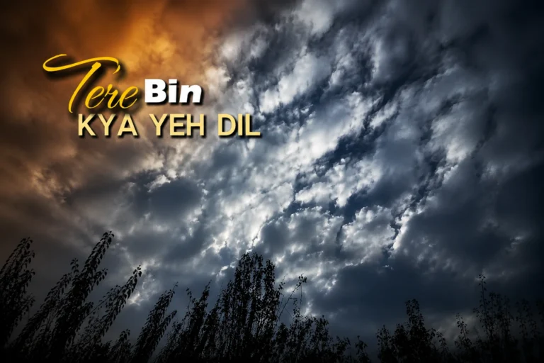 Cinematic feature image showing a dramatic cloudy sky with dark blue-gray clouds, warm golden light on the left, and tree silhouettes along the bottom, featuring bold “Tere Bin Kya Yeh Dil” text for an emotional sad-love video template.